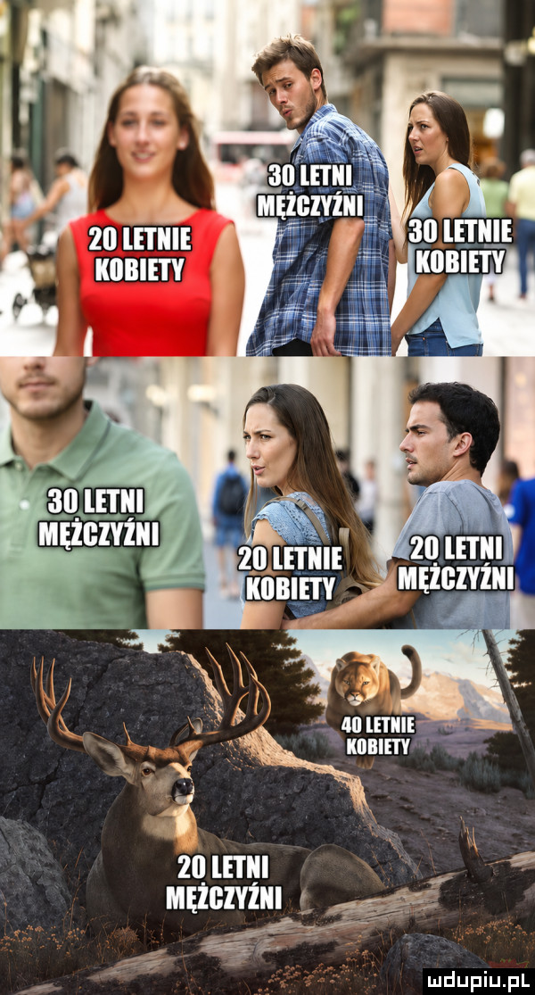 Obrazek