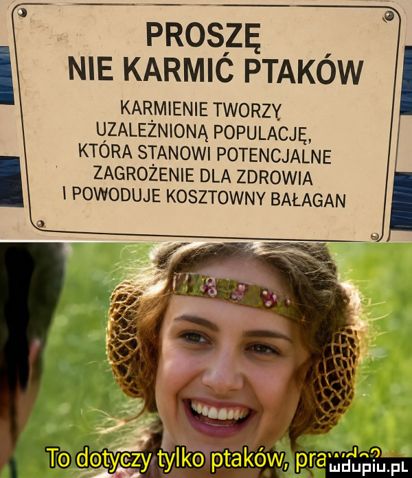 Obrazek