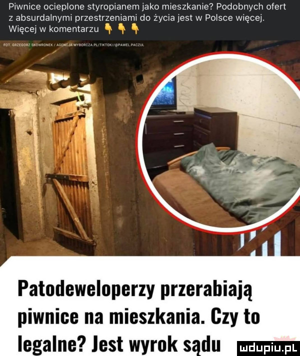 piwnice oczepione styropianem jako mieszkanie podobnych ofert z absurdalnymi przestrzeniami do zycia jest w plisce więcej więcej w komentarzu patodeweluperzy przerabiają piwnice na mieszkania. gzy to