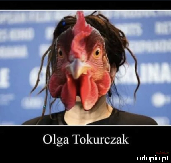 Obrazek