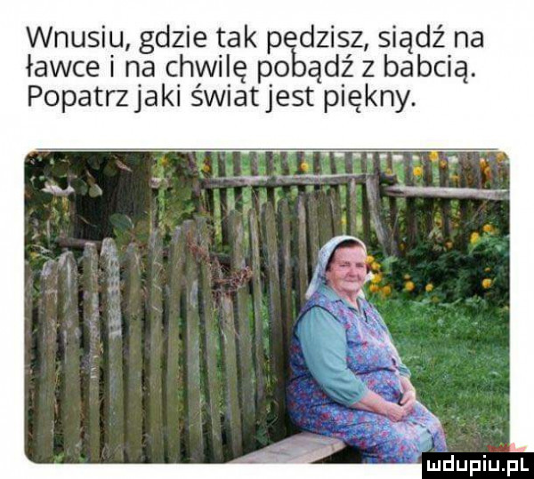 Obrazek