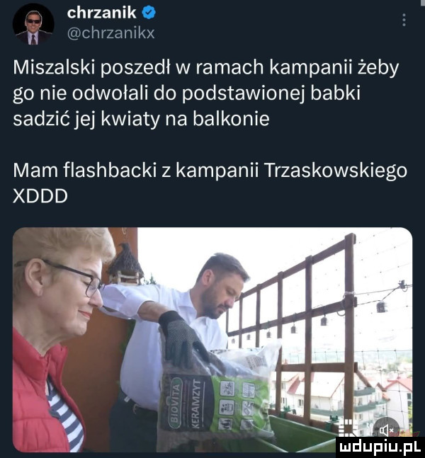 Obrazek