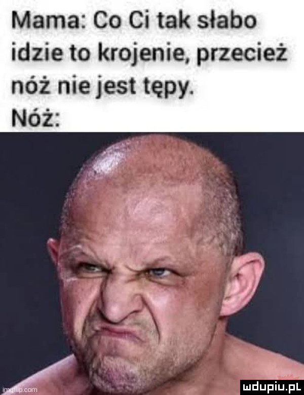 Obrazek