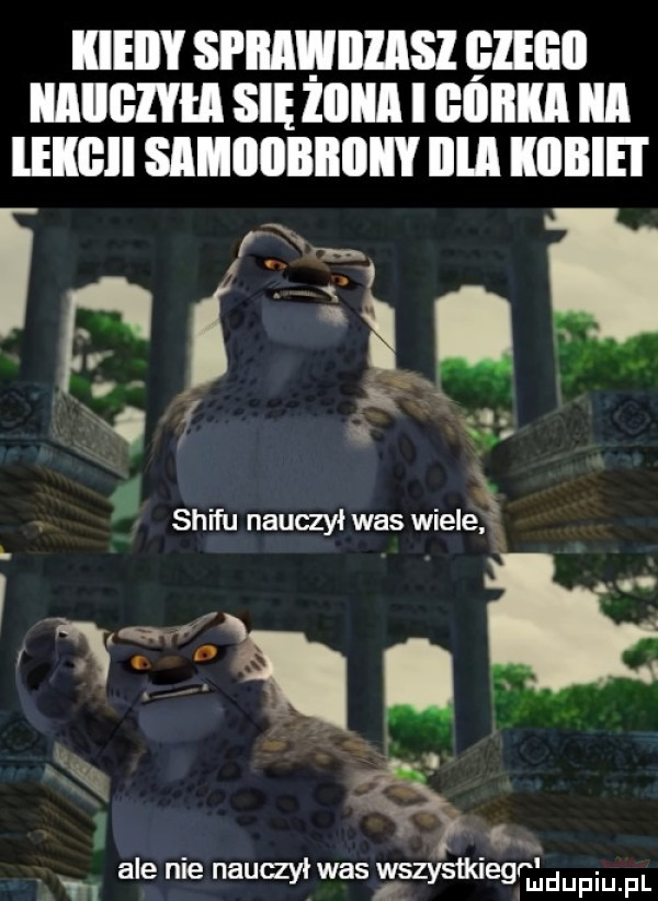 kieiiy si iiihiiiisi hebo iiiiioiyh się lobia i ooilki a ekoii samoobrony illll kobiei sci fu nauczył was wiele x m a m ale nie nauczył was wszysmbq mdupiu. pl