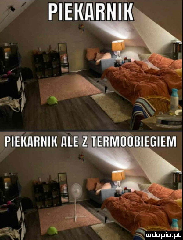 fl duciu. lu. n x pan