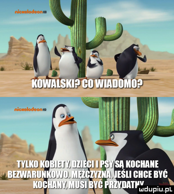 Obrazek
