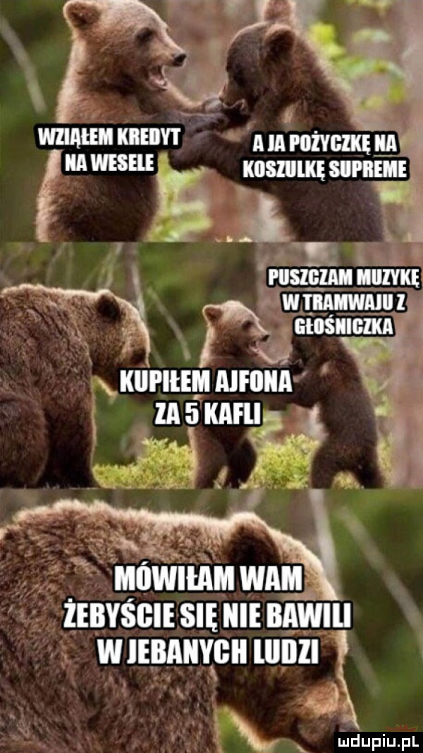 an my r magma mg ł wśigiai iiiiivkę ix tłumem tka wima kici iłem aifiiia   żebyście się icie bawili wiebaiwbii lllllll qa