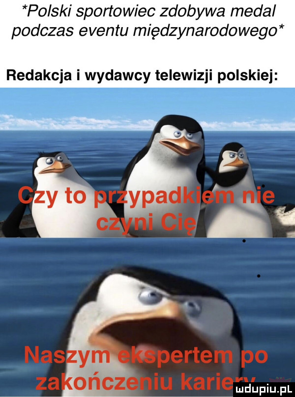 po ski sportowiec zdobywa medal podczas eventu międzynarodowego redakcja i wydawcy telewizji polskiej ibpertem po nru kariemaapiua