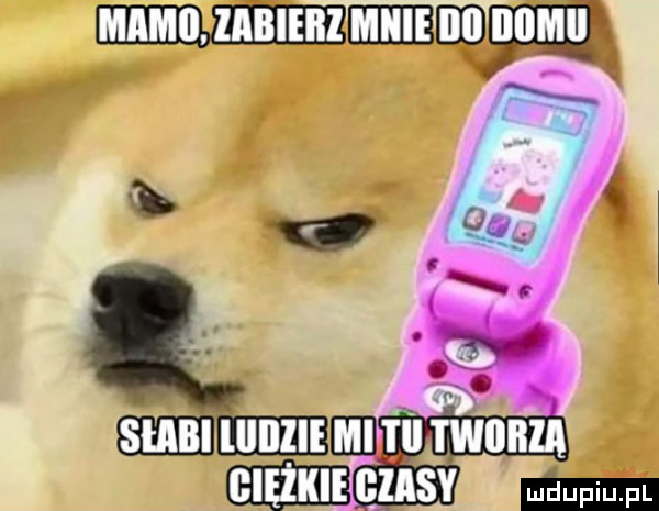 Obrazek