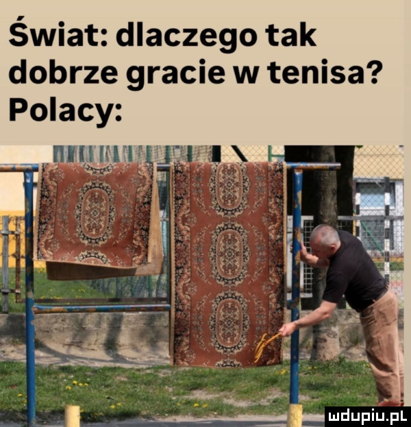 świat dlaczego tak dobrze gracie w tenisa. g ąibmdupium