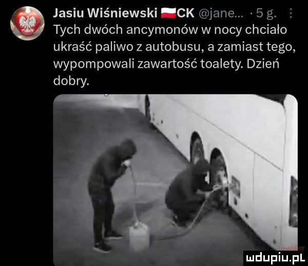 jasiu wiśniewski i ck jane.   g. tych dwóch ancymonów w nocy chciało ukraść paliwo z autobusu a zamiast tego wypompowali zawartość toalety. dzień dobry