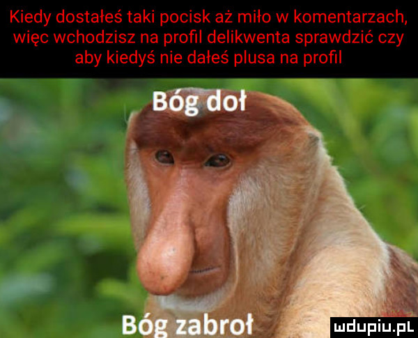 Obrazek