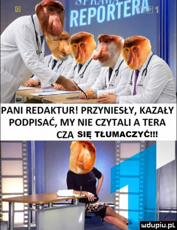 Obrazek