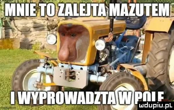 Obrazek