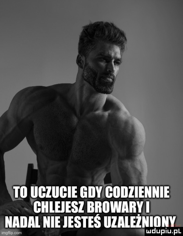 t  iigiiigie giby codziennie giileiesl browar mill nie ihs i eś illależnililiy nnnnnnnnn lud uplu. pl