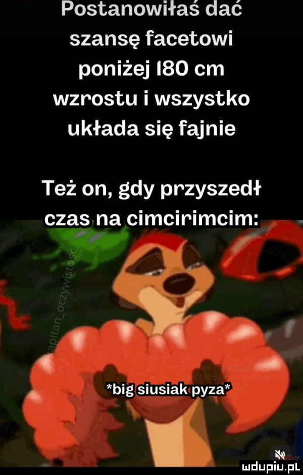 Obrazek