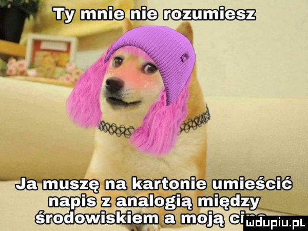 wam t. it. abakankami w w aka mm ia mniaaam napis b ehm srodowiski ma