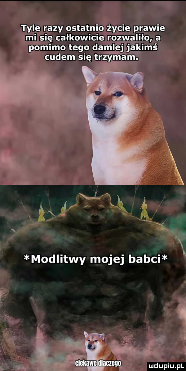 Obrazek