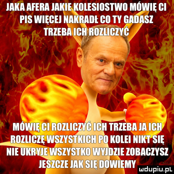 Obrazek