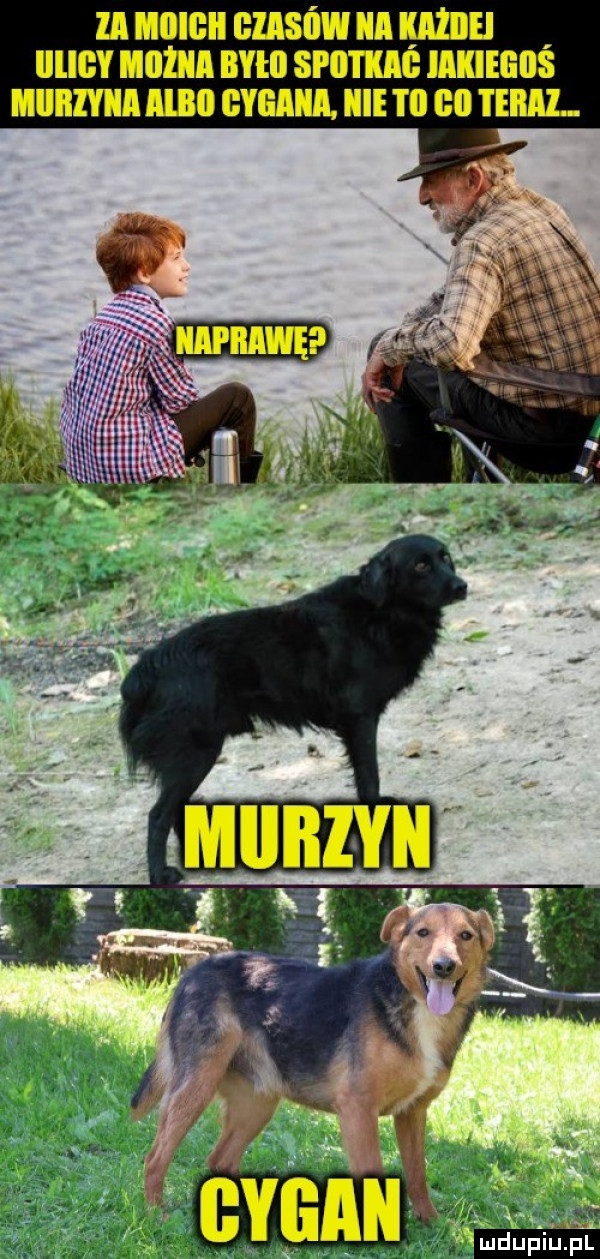 Obrazek