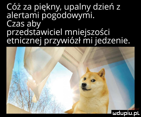 cóż za piękny upalny dzień z alertami pogodowymi. czas aby przedstawiciel mniejszości etnicznej przywiózł mi jedzenie