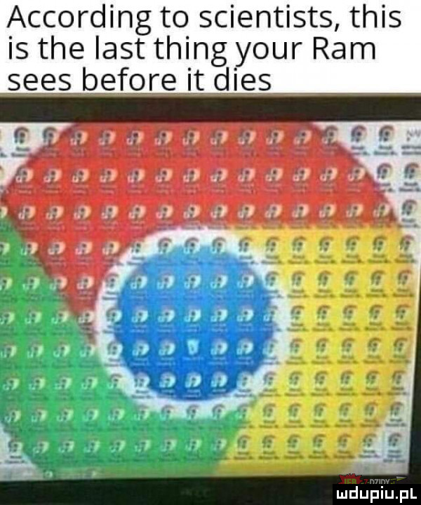 according to scientists tais is tee list thing your ram seks before it dres m a xl