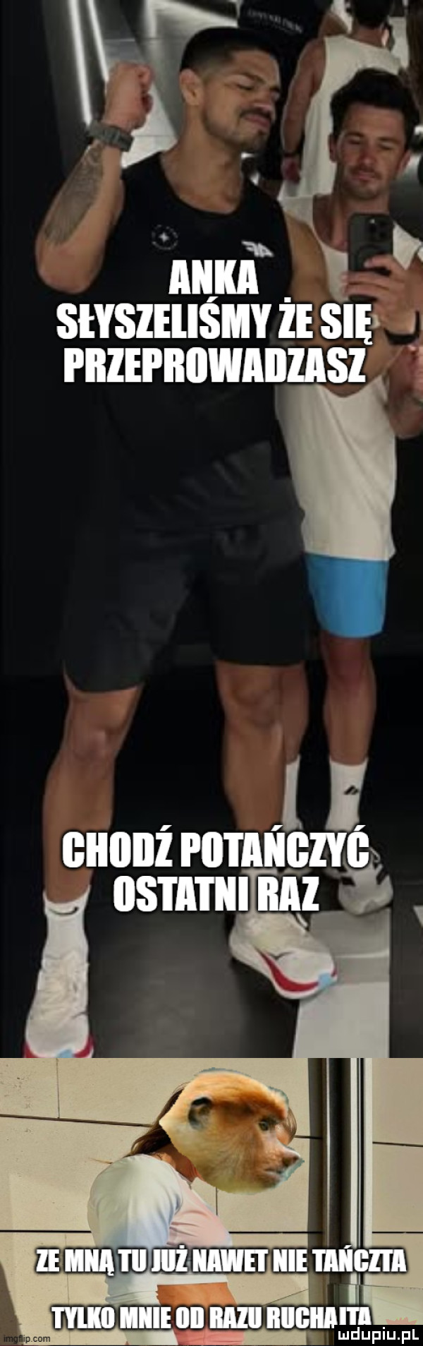 Obrazek