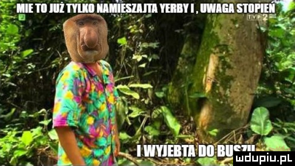 Obrazek