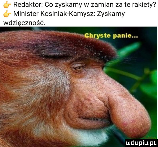 Obrazek