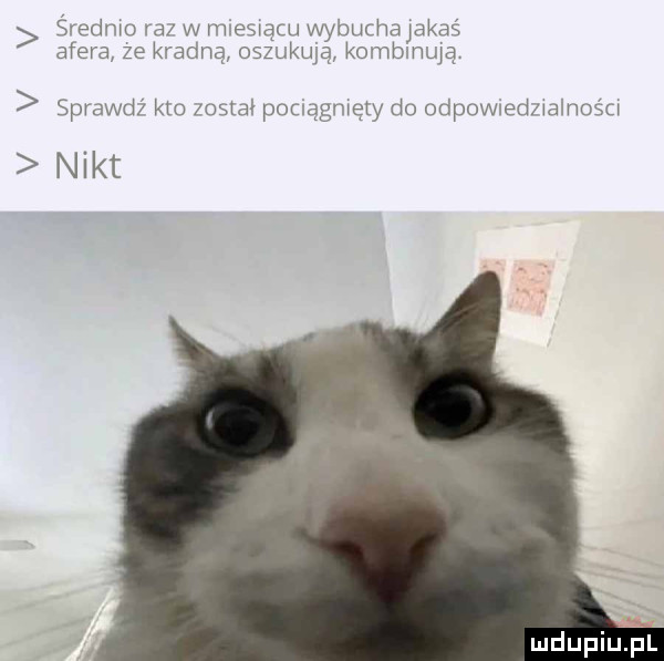średmo l d w rmeswqcu wybunhajakaś afera ze kradną oszukuje kombmwa sprawd kto     a pouągmęty du odpuwxed wdinośu nikt
