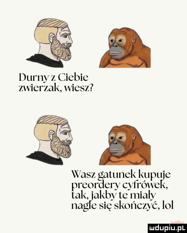 dumy z ciebie zwierzak wiesz wasz gatunek kapu e preordery cytrówe tak abby te miały nag e się skończyć lol ludu iu. l