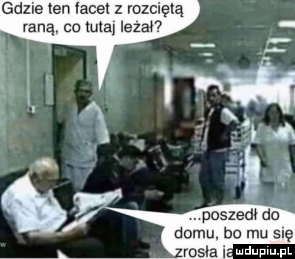 Obrazek