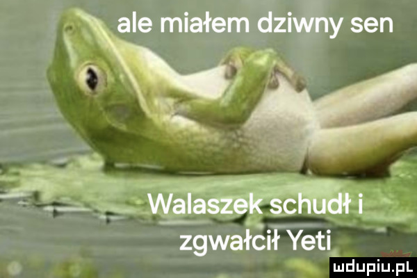 Obrazek