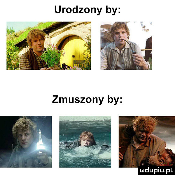 Obrazek