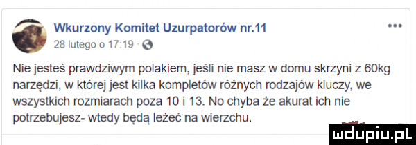 wkurzony komitet uzurpatorów nr      luiegoo l   e nie jesteś prawdziwym pniakiem jeśli nie masz w domu skmyni z   kg napędzi. w które jest kilka kompletów różnych rodzajów kluczy we wszystkich rozmiarach poza    i    no chyba że akurat ich nie polaebujesz wtedy będą leżeć na wierzchu. luduplu pl