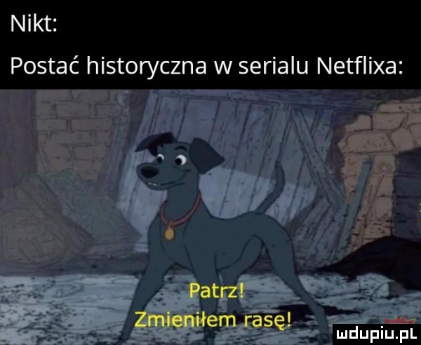 Obrazek