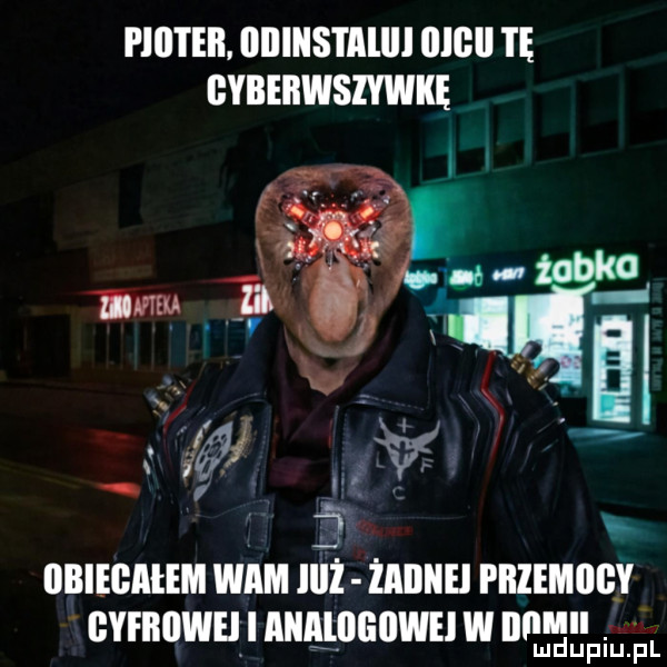 Obrazek