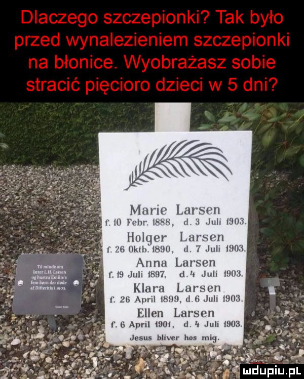 mario larsq n j i m m. ma. a jul ma hulqor lurm n ich uam mel l   jul moza anna larsen   ih juli e  .   o jull jim klara larsen    am mam l n w.  me ellen lawson   avril     . d juli      jebus liwr has mig