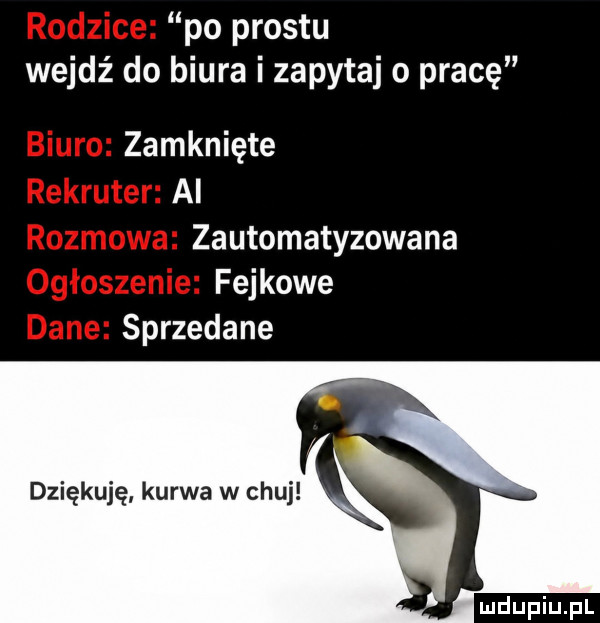 po prestu wejdź do biura i zapytaj o pracę zamknięte ai zautomatyzowana fejkowe sprzedane dziękuję kurwa w chuj