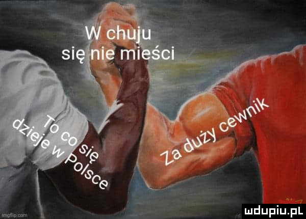 Obrazek