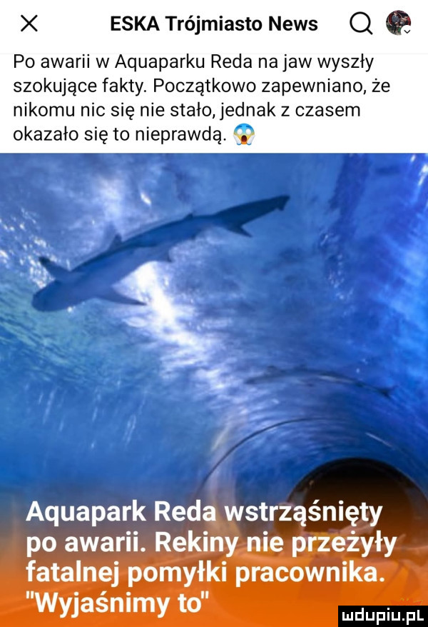 eska trójmiasto news q a p  awarii w aquaparku reda na jaw wyszły szokujące fakty początkowo zapewniano że nikomu nic się nie stało jednak z czasem okazało się to nieprawdą. v po awarii. rekiny nie przeżyły fatalnej pomyłki pracownika. wyjaśnimy to