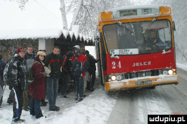 upiu pl