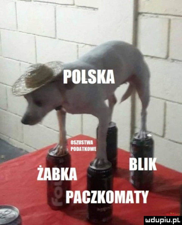 Obrazek