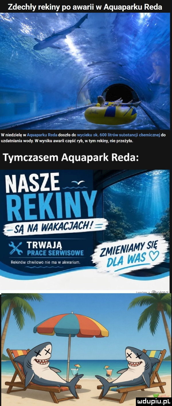 zdechły rekiny po awarii w aquaparku reda   l e a vt a x. wniedxieląw duniodo do uzdatniania wody wwyniku awarii mg ryb w nam rekiny nie pruźyh. tymczasem aquapark reda nasze trwają cm i hmmm ma m m wa ar w