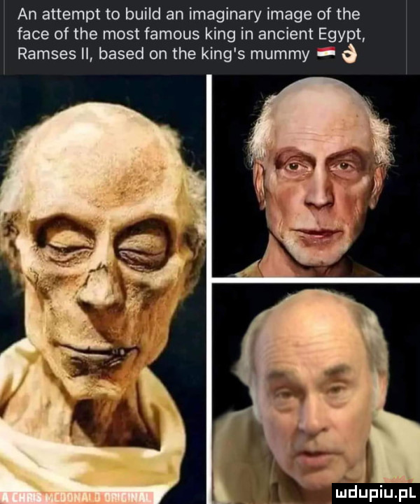 an attempt to build an imaginary image of tee face of tee most famous king in ancient egipt ramzes ii based on tee king s mammy i ó    mdupiup