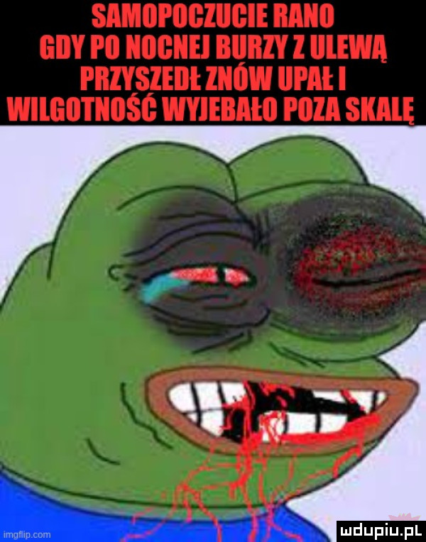Obrazek