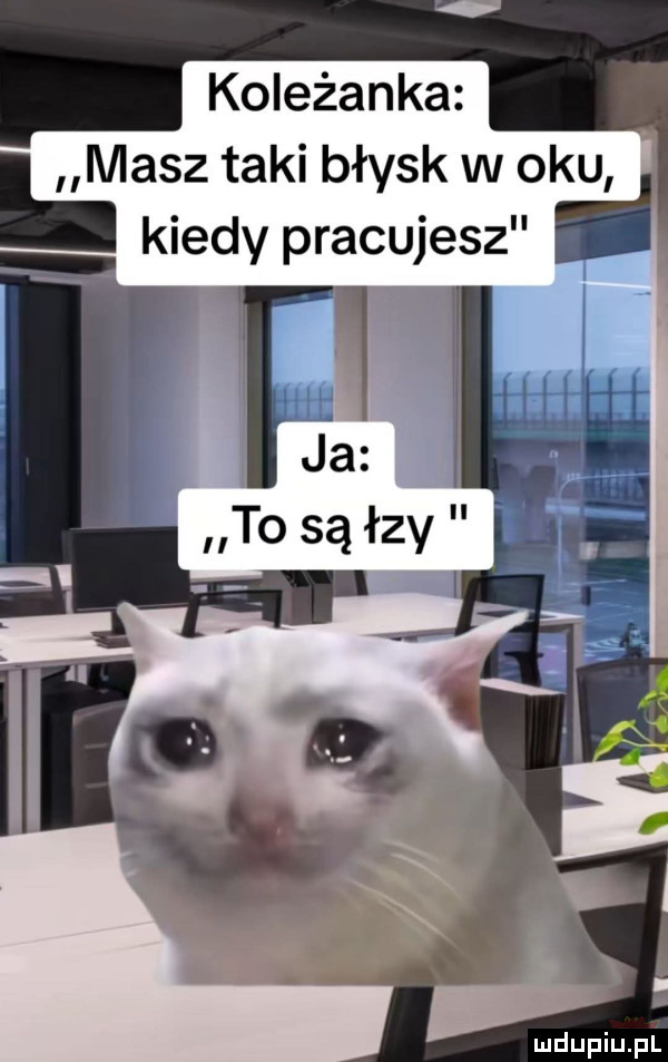 koleżanka masz taki błysk w oku kiedy pracujesz