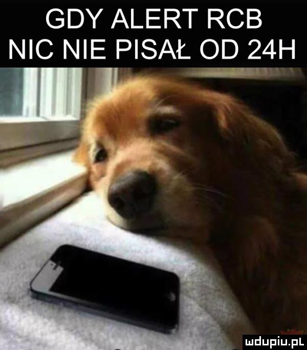 gdy alert rab nic nie pisał od   h. t