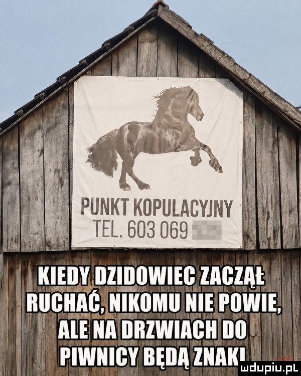 Obrazek
