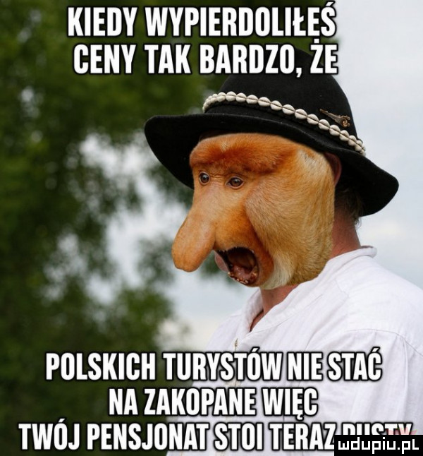 kiedy wypierdoliłaś ceny tak bardzo ze polskich runvsmwmiśim un zakopane wm twój pensjonatsśih unum m